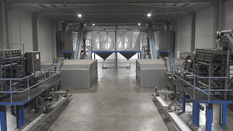 Fındık Kırma ve Entegre Fabrika Kurulumu